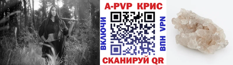 APVP СК  Фрязино 