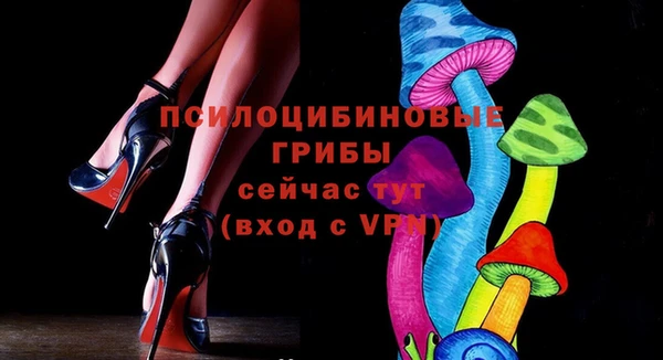 спайс Алексин