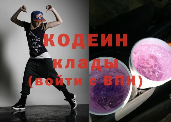 гашик Пересвет