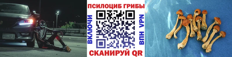 Галлюциногенные грибы прущие грибы  Фрязино 