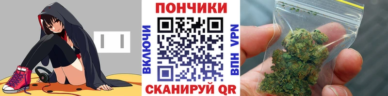 сколько стоит Фрязино Канабис индика